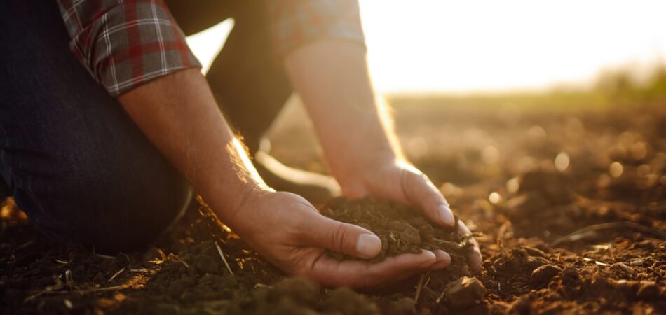 Male,hands,touching,soil,on,the,field.,expert,hand,of