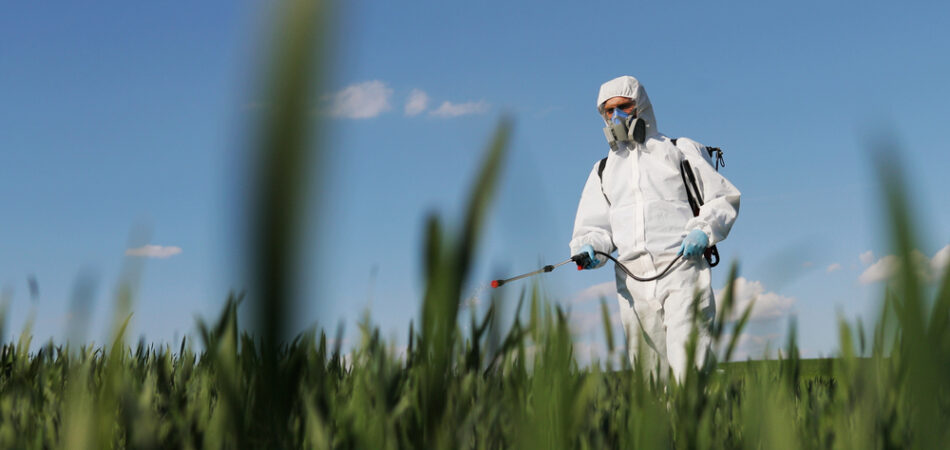 Close,up,of,male,farmer,in,white,protective,costume,walking