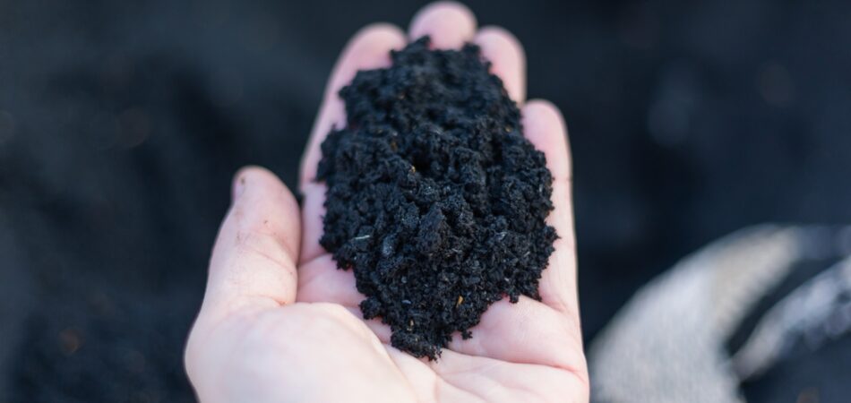 A,top,view,of,black,organic,composted,soil,amendments,in