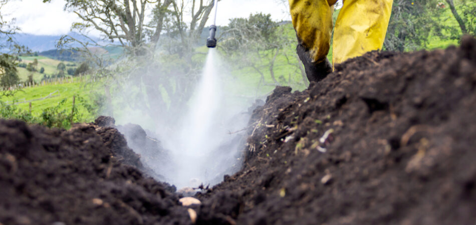 Farmer,applying,insecticide,products,on,potato,seeds,,sowing,potato,seeds