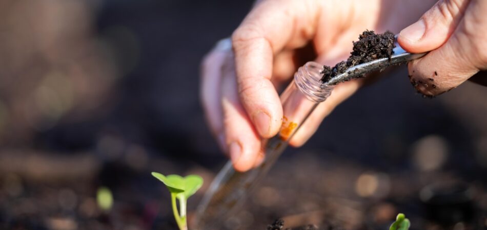 Taking,a,soil,sample,for,a,soil,test,in,a