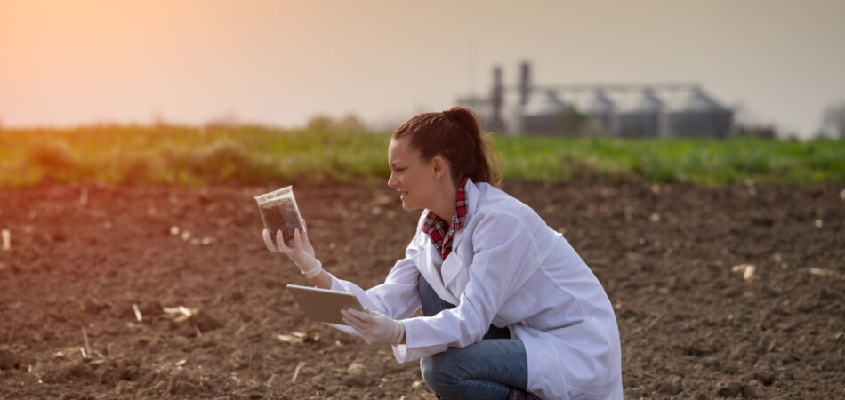 Young,pretty,woman,agronomist,checking,soil,quality,on,field