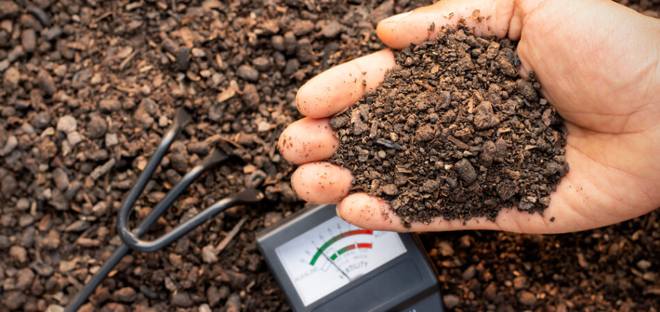 A,fertile,loam,in,the,hands,of,a,farmer,man