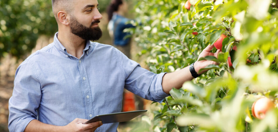 Control,of,fruit,cultivation,,check,crop,and,management,of,eco